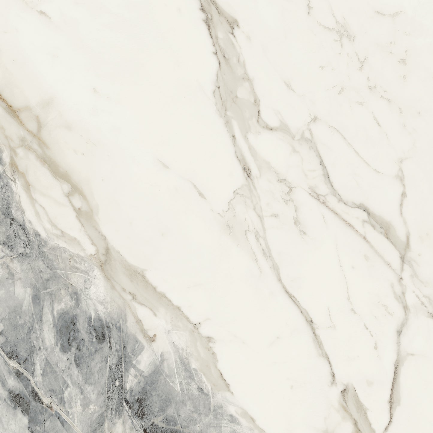 On Stage Victoria White Natural 24X48 porcelain tile