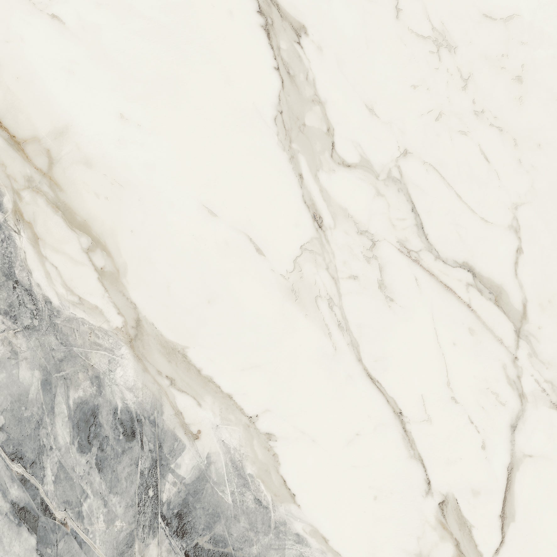 On Stage Victoria White Natural 24X48 porcelain tile