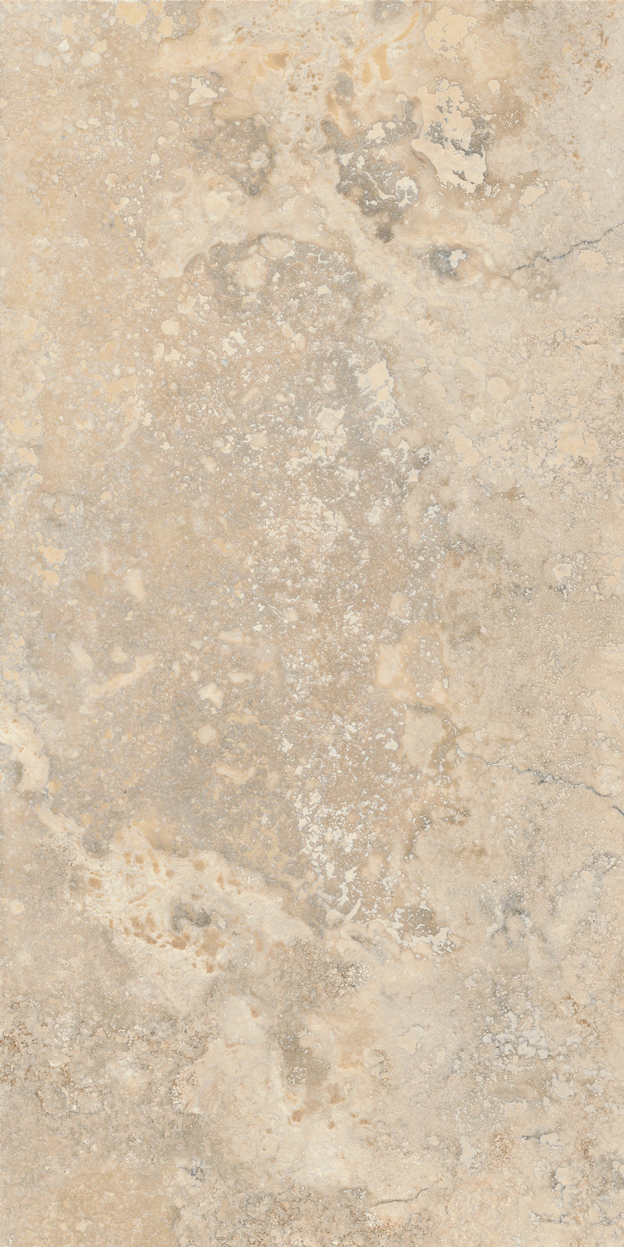 Invictus Cross Beige Matte 24X48 porcelain tile