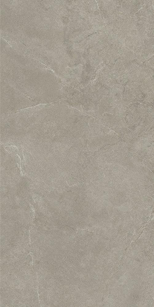 Arkigeo Rupe Gray Matte 24X48 porcelain tile